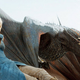 Illustration for article titled Dragons in Game of Thrones Are Like Nuclear Weapons in the Real World